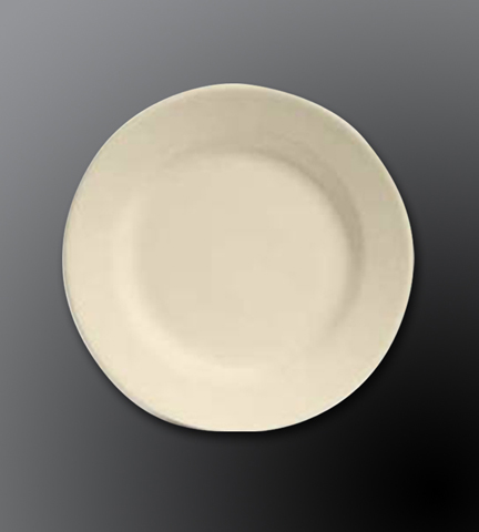 Rolled Edge Ceramic Dinnerware Dover White Plate 9" Dia.